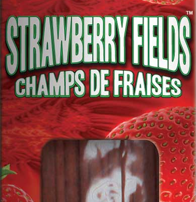 JUICY JAY INCENSE - STRAWBERRY [12219] [716165152057]